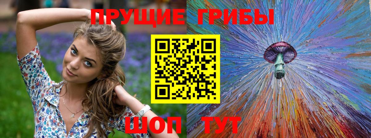 Североуральск  Галлюциногенные грибы Magic Shrooms  Галлюциногенные грибы Cubensis  Вход с VPN 